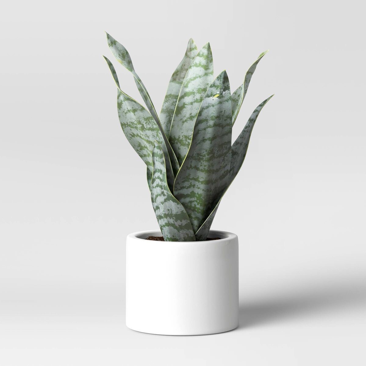 8″ x 5″ Small Artificial Snake Plant in Ceramic Pot – Threshold