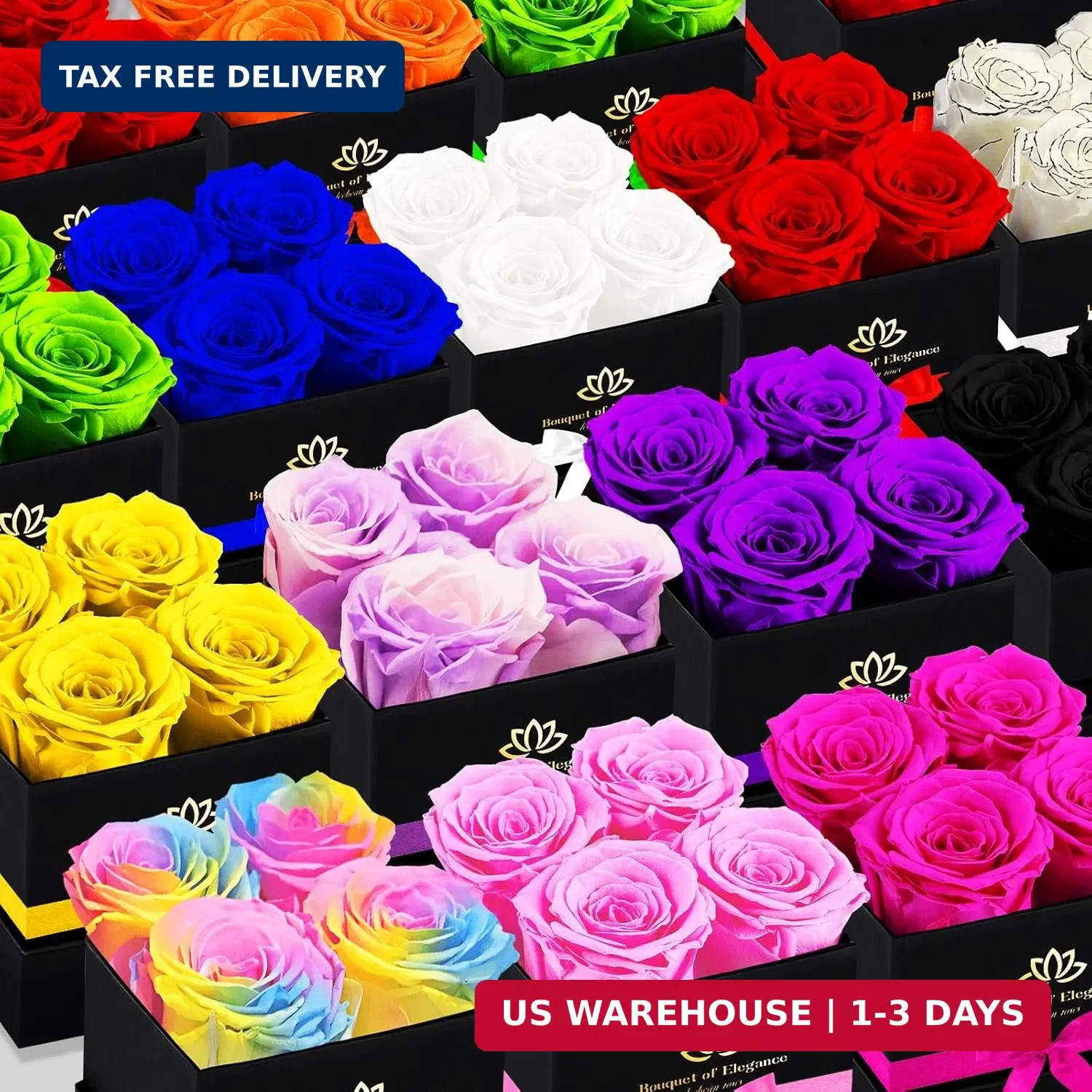 Forever Flowers Roses in A Box,Real Preserved Flowers,Preserved Roses,Preserved