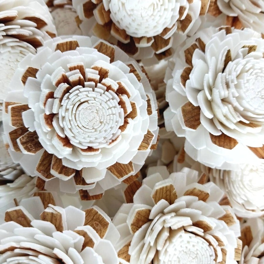 50 Marigold Sola Flower mixed with brown, Diffuser Flowers Sola Wholesale.