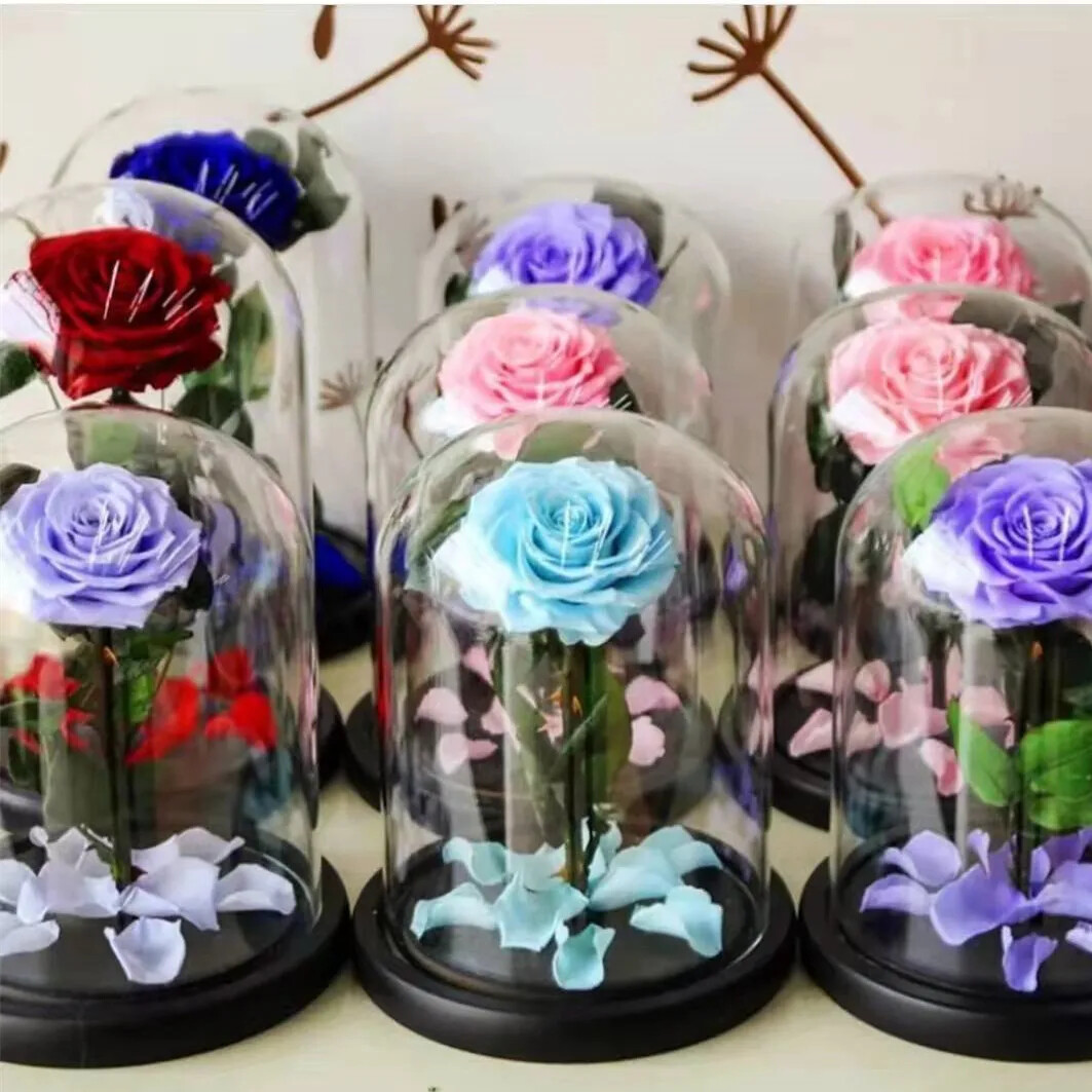 Unbreakable Love: Immortal Preserved Rose Dome – Valentine’s Day Gift