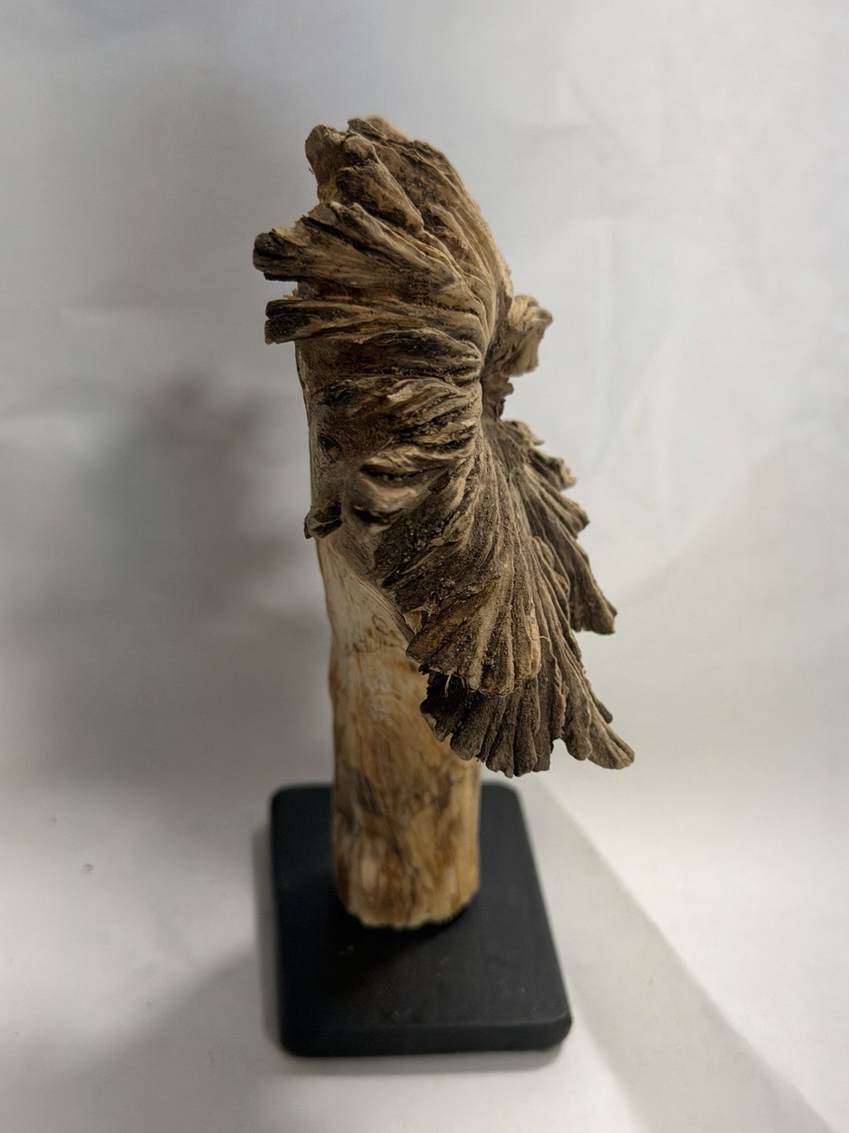 Rare Guatemala Wooden Tree Flower / Tree Ear on Iron Stand.