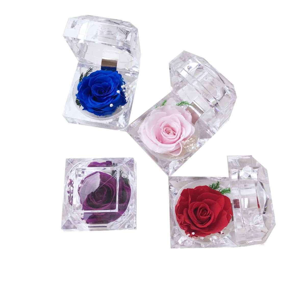 Preserved Rose Real Forever Rose in Mini Clear Ring Box, Eternal Flower Rose Gif