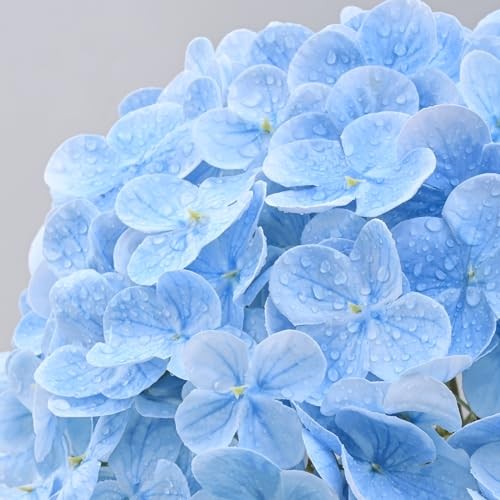 21in Hydrangea Artificial Flowers, Latex Real Touch Hydrangeas 3Pcs Blue