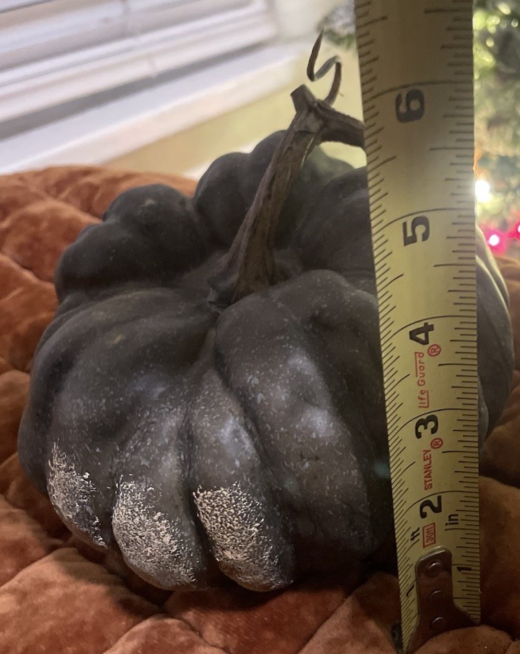 Pottery Barn Faux Pumpkin Charcoal Green Olive 6” Tall Small