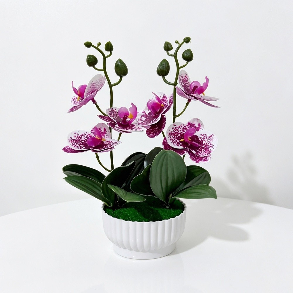 Imitation Orchid Plant with 6 Blooms 6 Leaves in Pot 26cm Indoor Decor