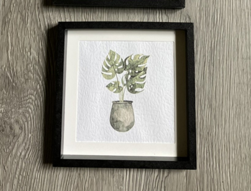 Set of 3 Small Plant Botanical Pictures 6″ x 6″ each – NEW!