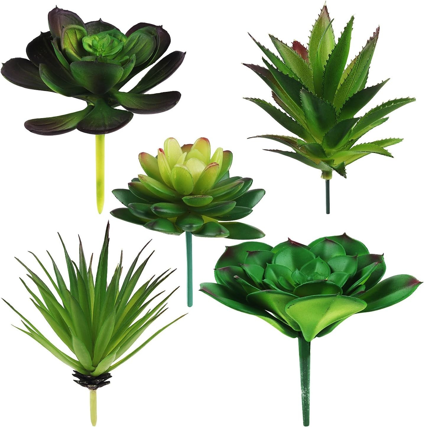 5-Piece Artificial Succulent Set – Perfect for Home, Office, and Events