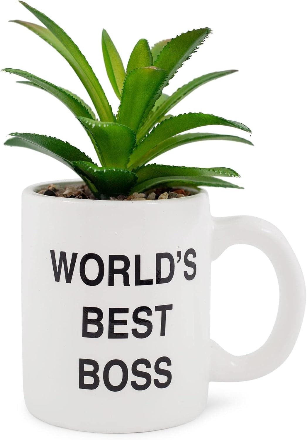 The Office Worlds Best Boss Decorative Artificial Faux Greenery Plant in Ceramic
