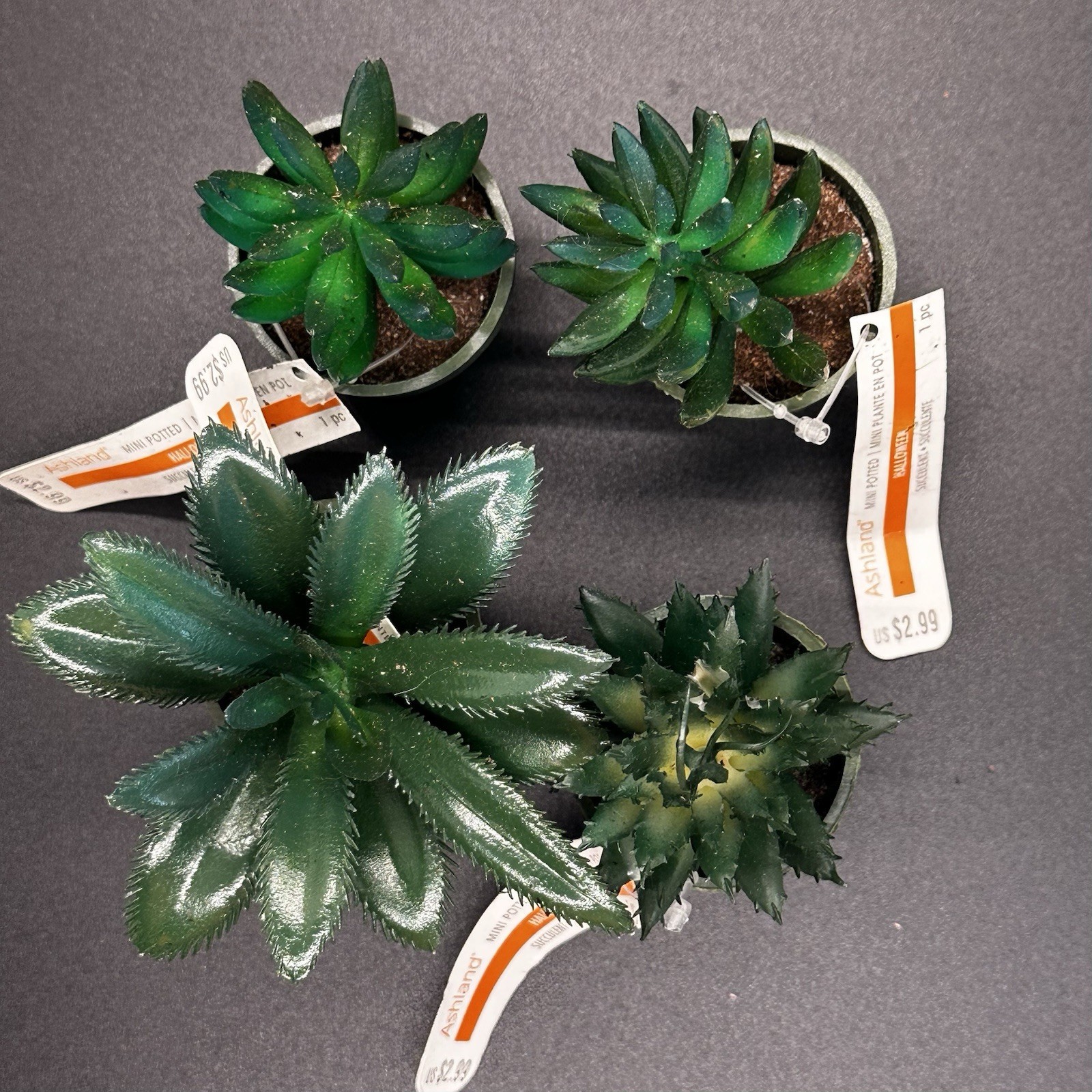 25 Mini Artificial Succulent Plant Lot Potted Black Green Purple Halloween Craft