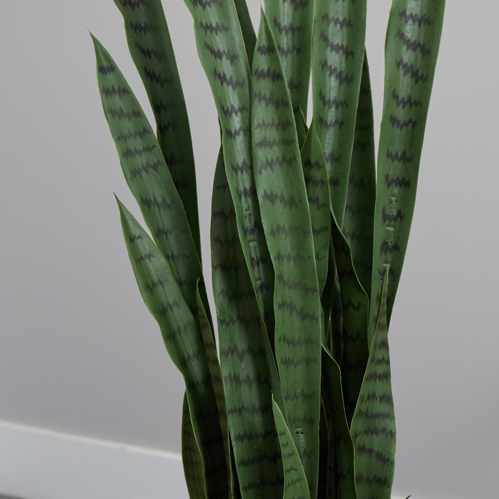 4.5’ Artificial Sansevieria Snake Plant in Black Planter Retail $317