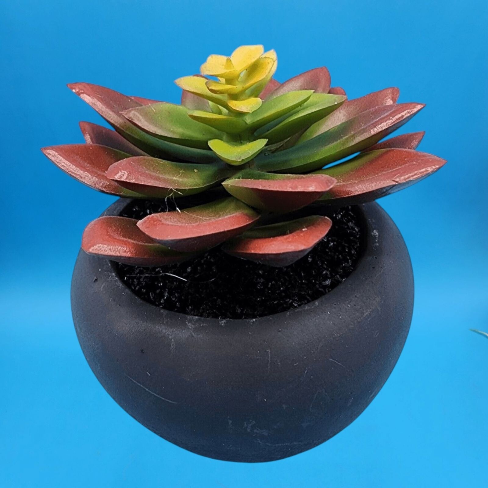 Faux Succulent Plant In Matte Black Round Pot Home Decor House Plant Office