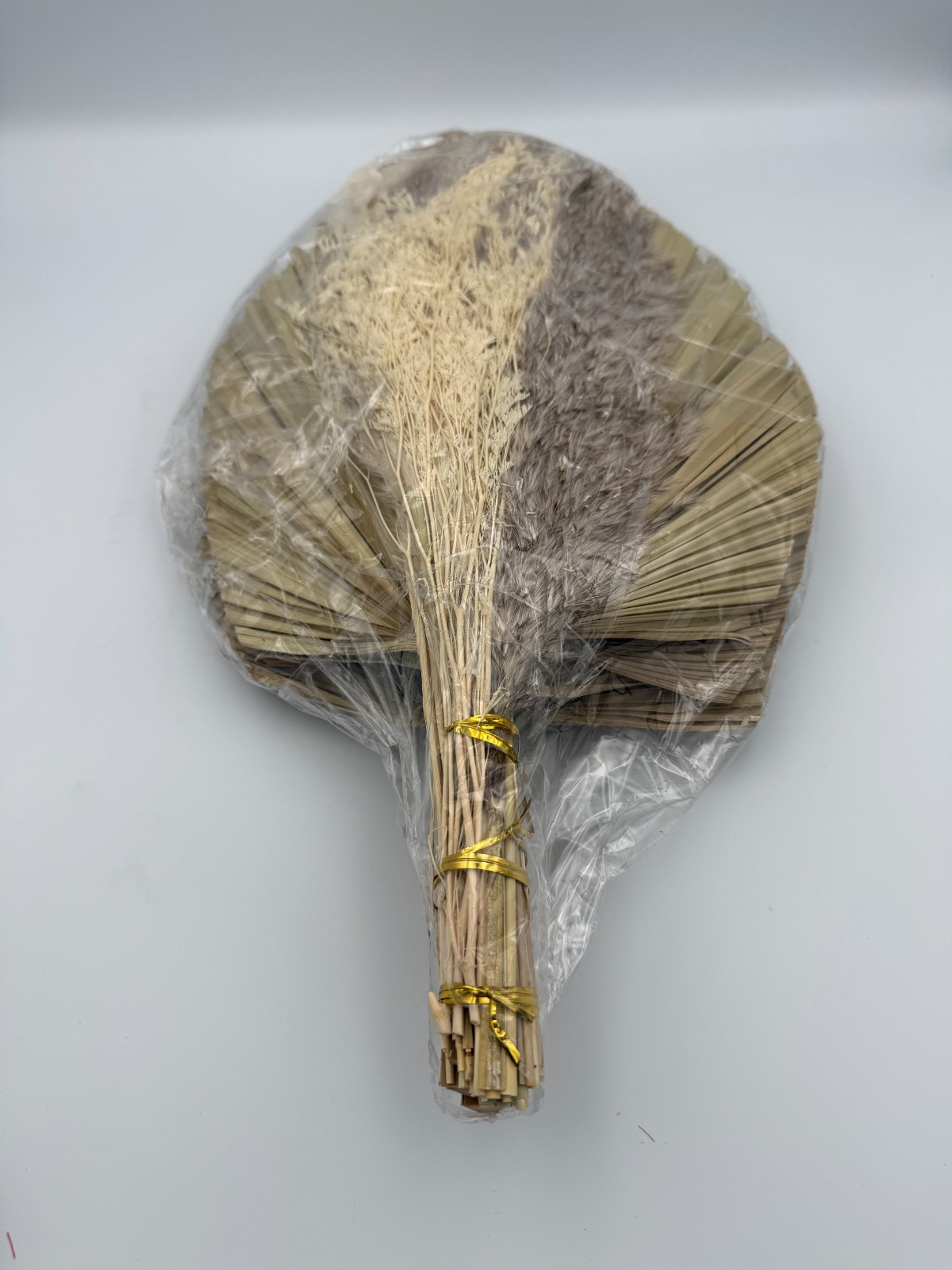 Dried Palm Leaves Fan Wall Decor Kit Natural Ornamental Grass Stems 16-17 in