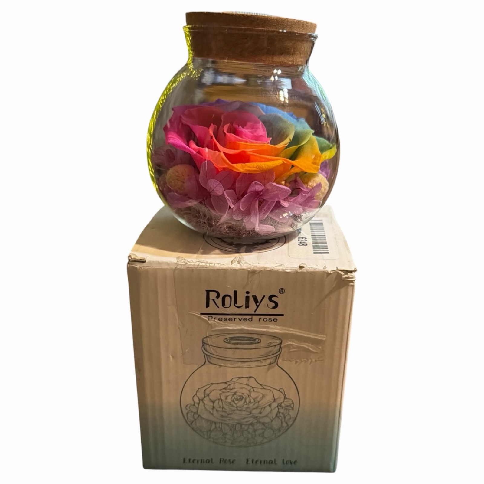 Real Preserved Rose Globe Eternal Rose Multicolor With Light Forever Flowers