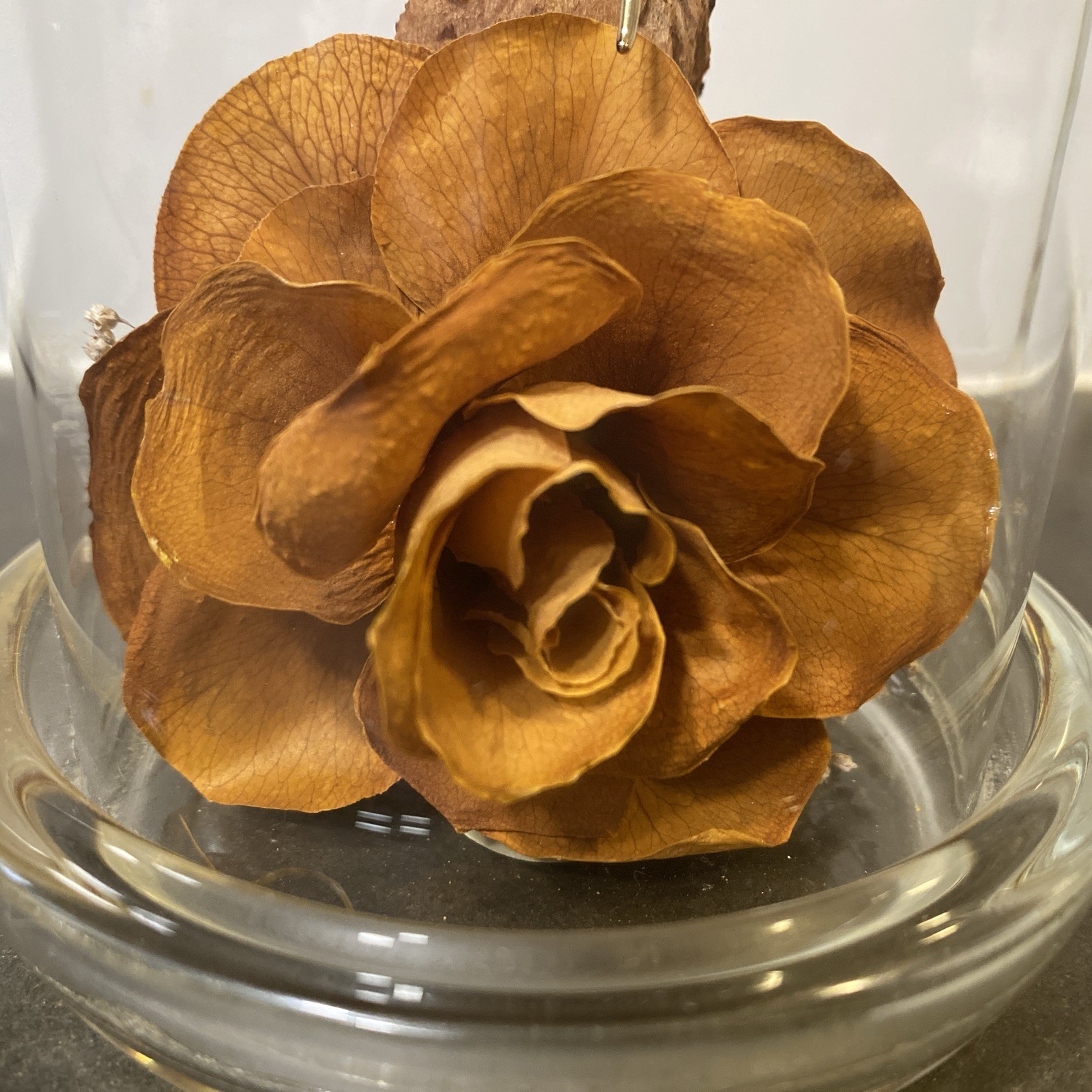 Colorado Naturals Dried Rose Floral Glass Dome Display with Glass Humming Bird