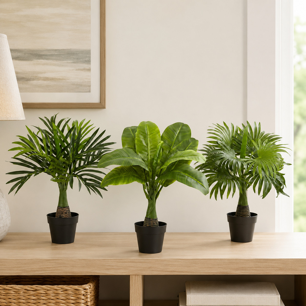 Areca Fountain & Banana Palm (Set of 3)