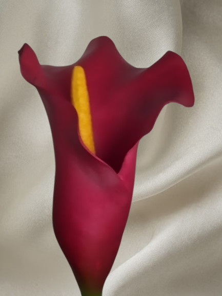 26″ Cranberry real touch calla lily stems (6)