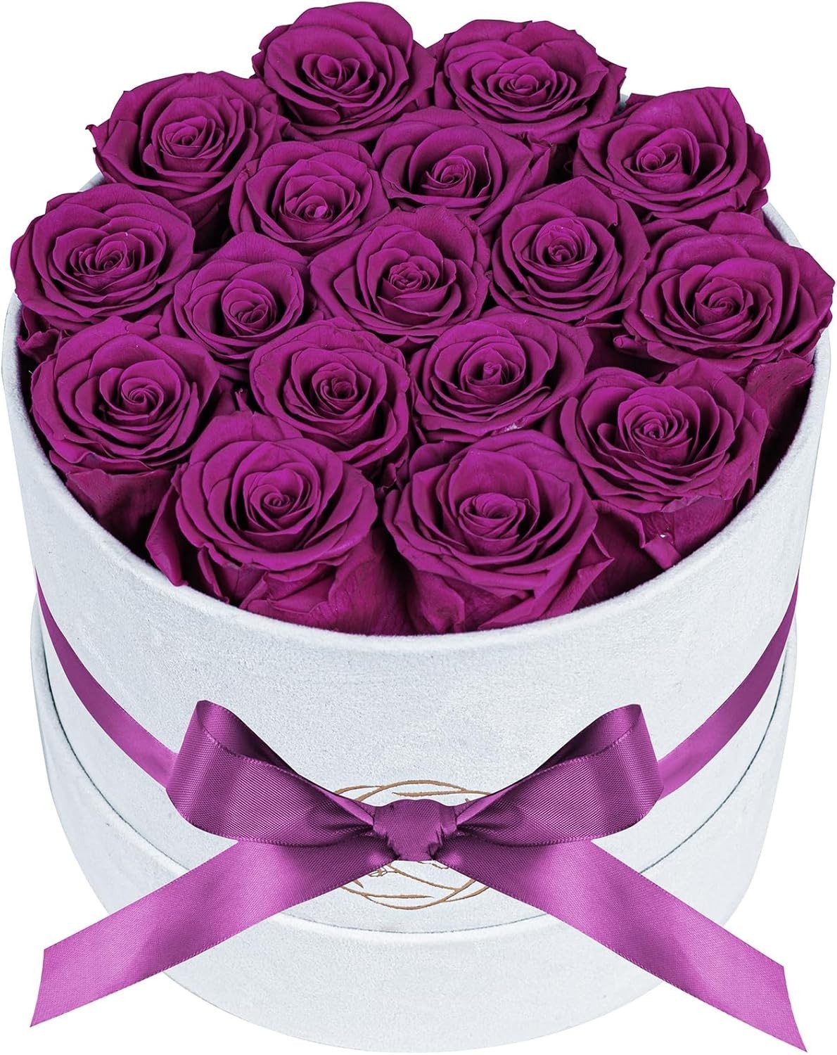 Vibrant 17 Roses in Velvet Box Ideal Gift for Valentines Day and Anniversaries