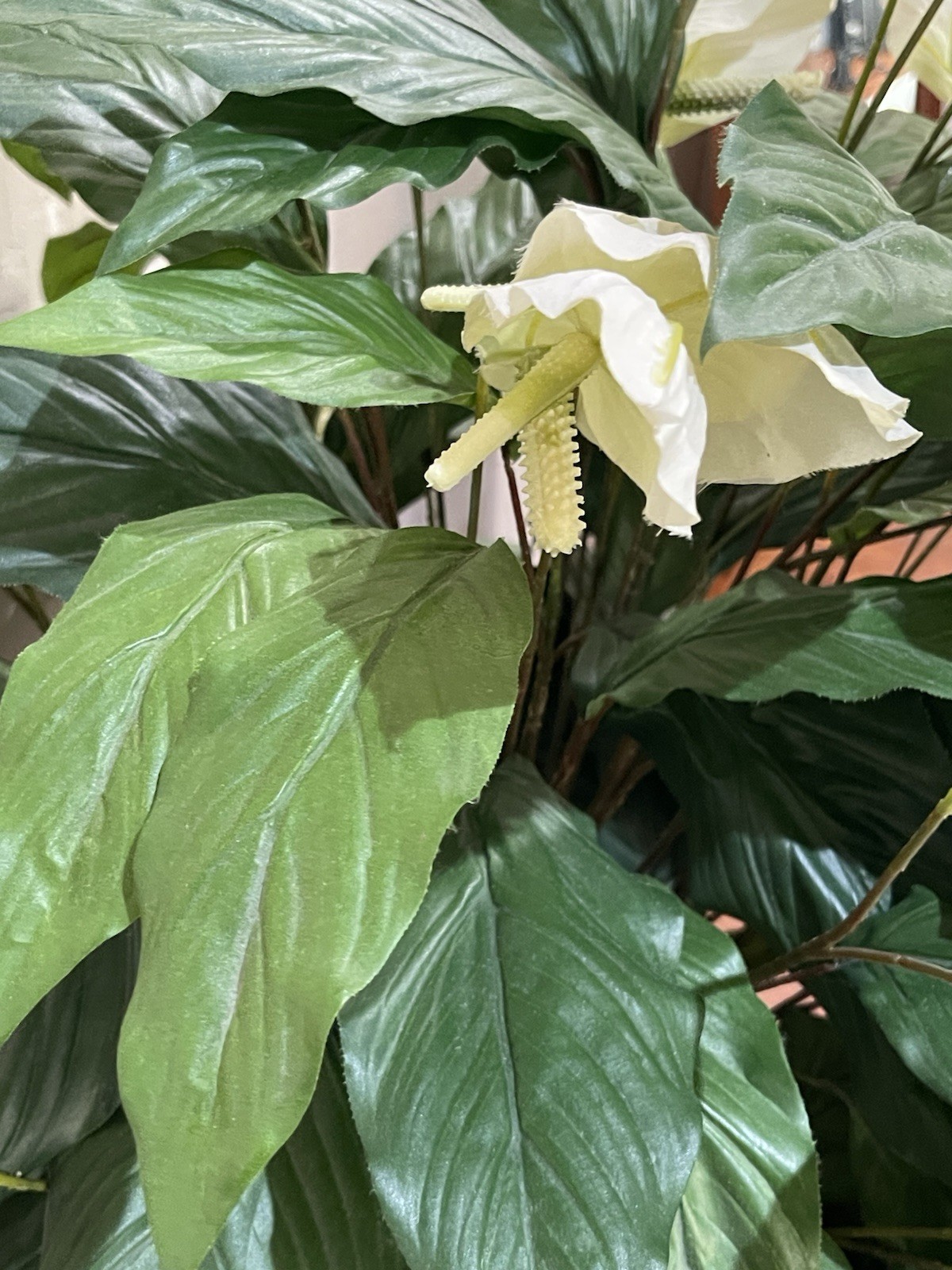 4 ft Artificial Silk Peace Lily Spathiphyllum Heavy 18″ Decorative Ceramic Pot