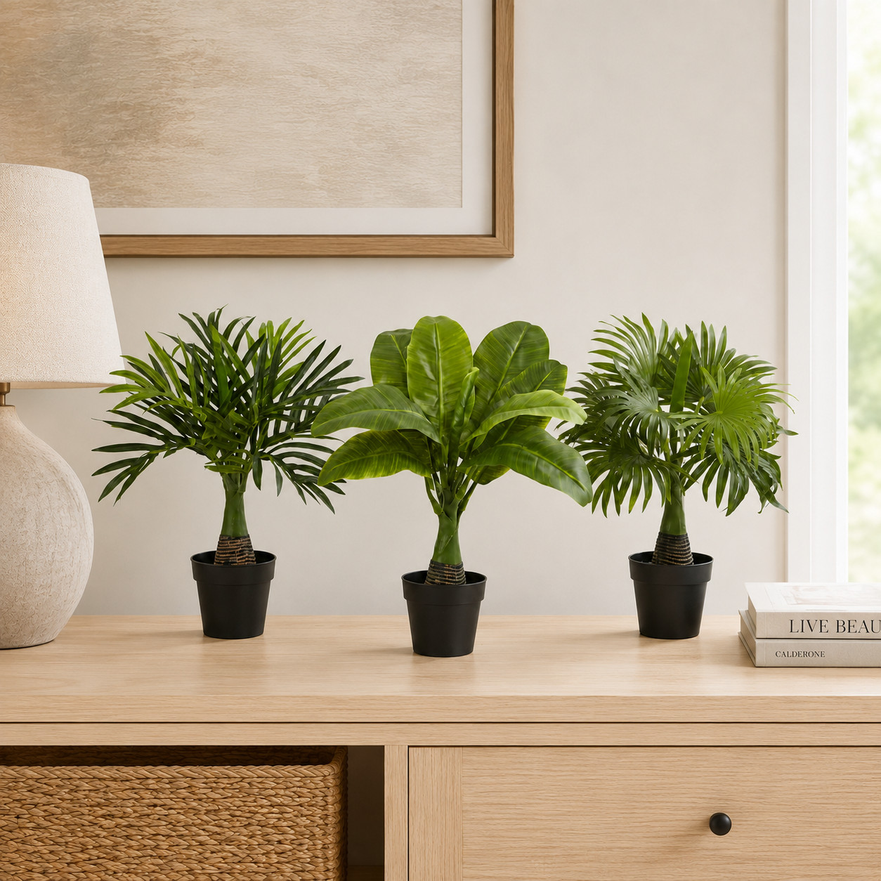 Areca Fountain & Banana Palm (Set of 3)