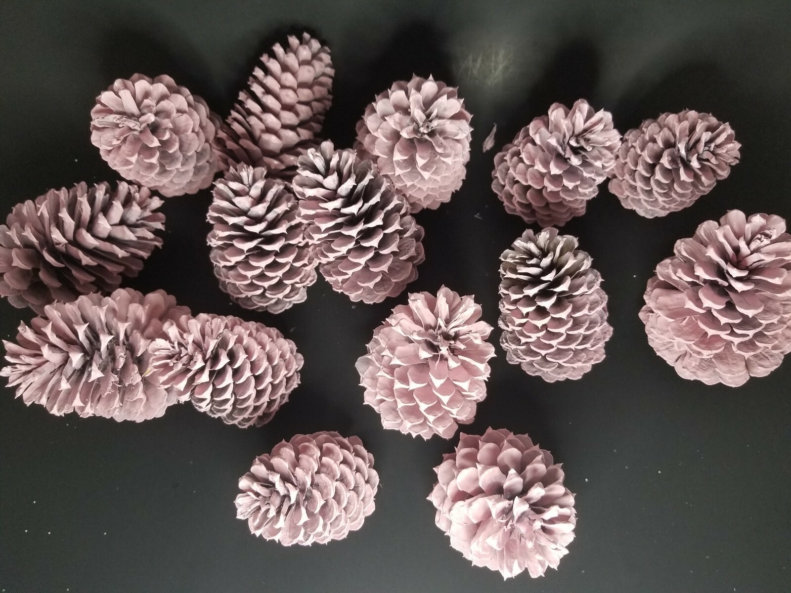 🎅15 Pink Pine Cones Hand Painted All Natural Premium Quality Cones