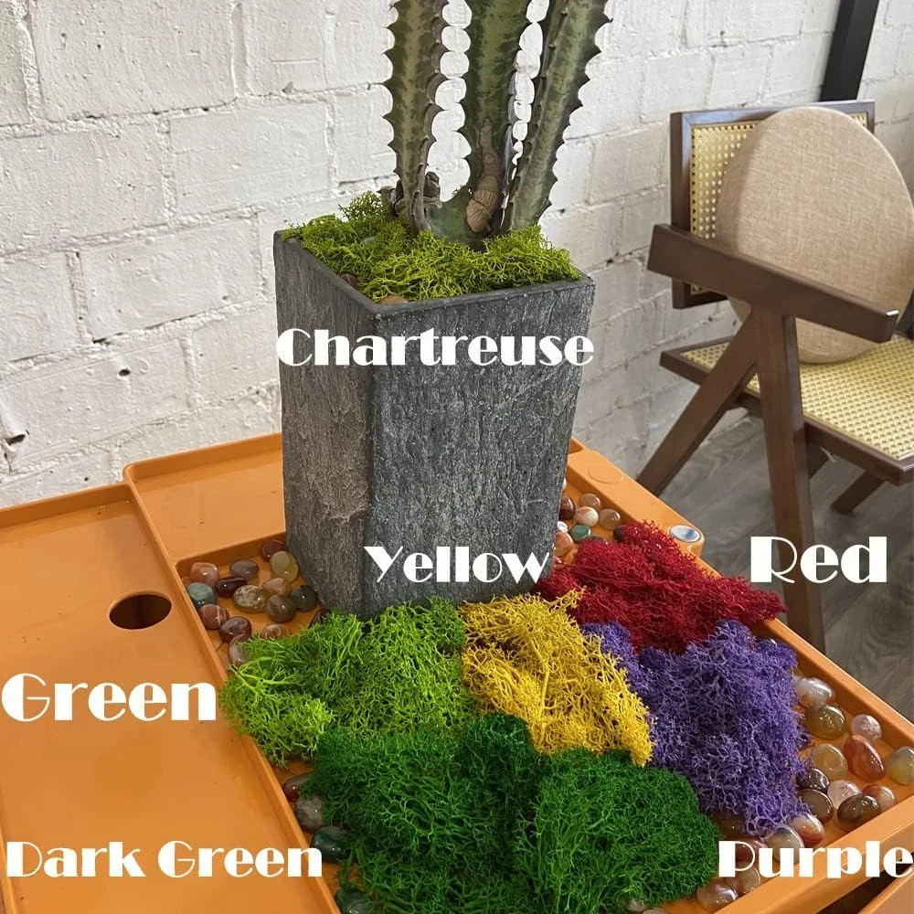 Fake Moss Preserved Reindeer Moss 3.5 OZ for Potted Plants, Arts and Crafts, Ter