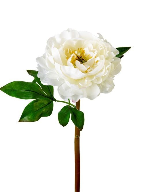 Artificial white with a hint of pink peony stem – REAL TOUCH