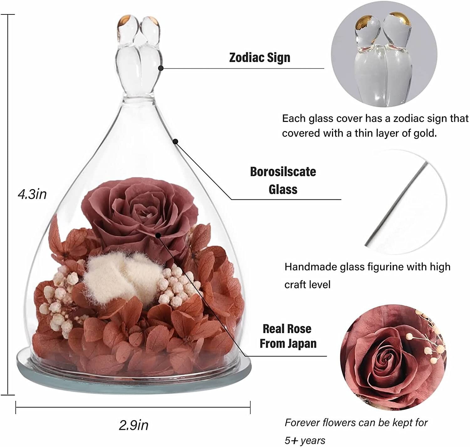 Gemini Girl Eternal Rose in Glass w/ Packaging