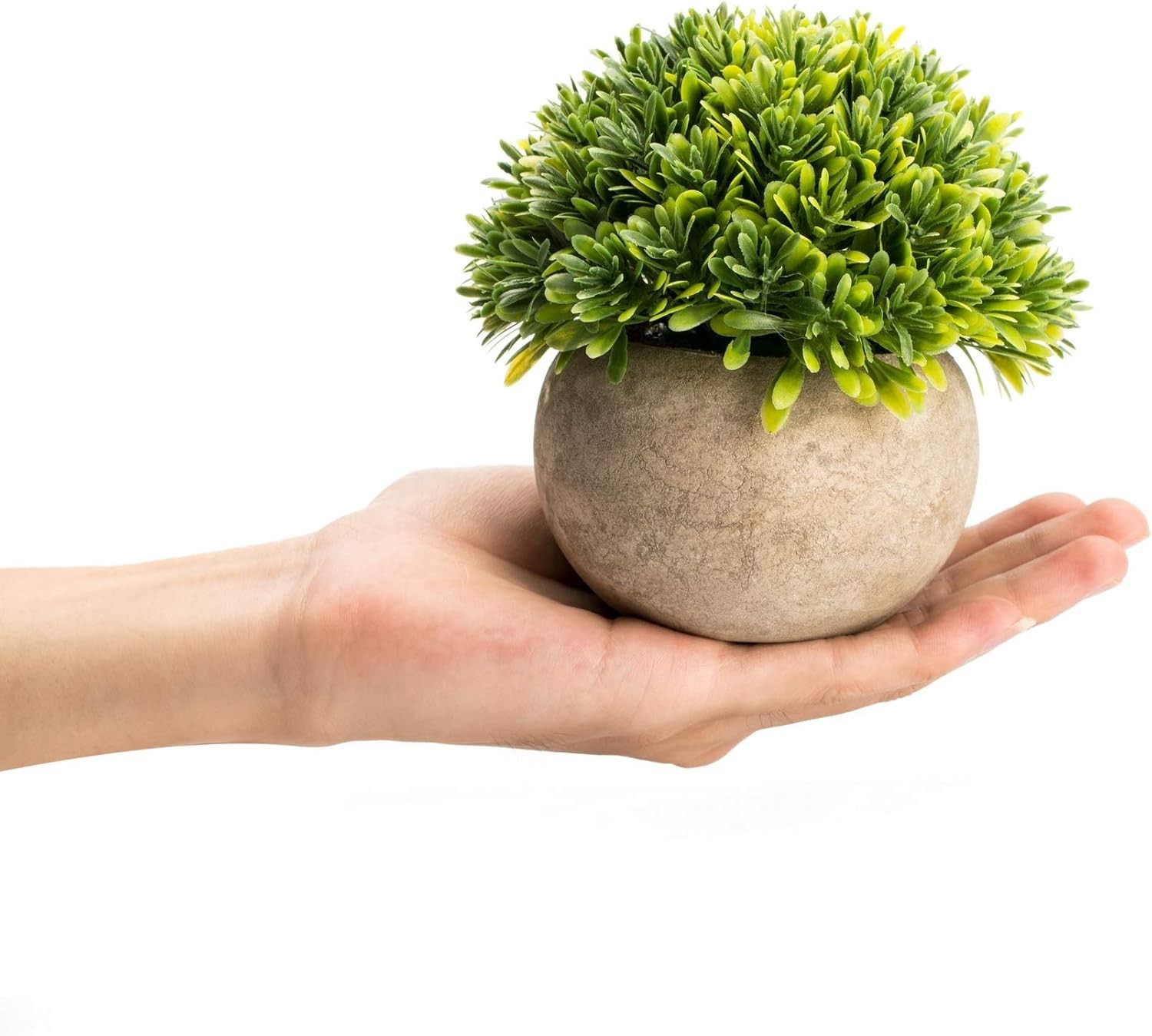 Dust Resistant Artificial Boxwood Plant – Charming Decor for Every Occasion