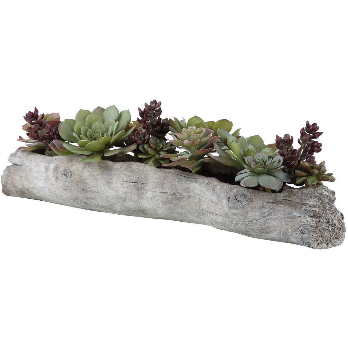 Uttermost 60174 Charita Solid Concrete Succulents