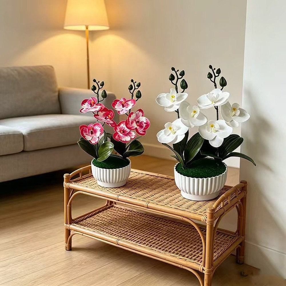 Phalaenopsis Orchid Simulation with Shell Shaped Pot for Home Office Use