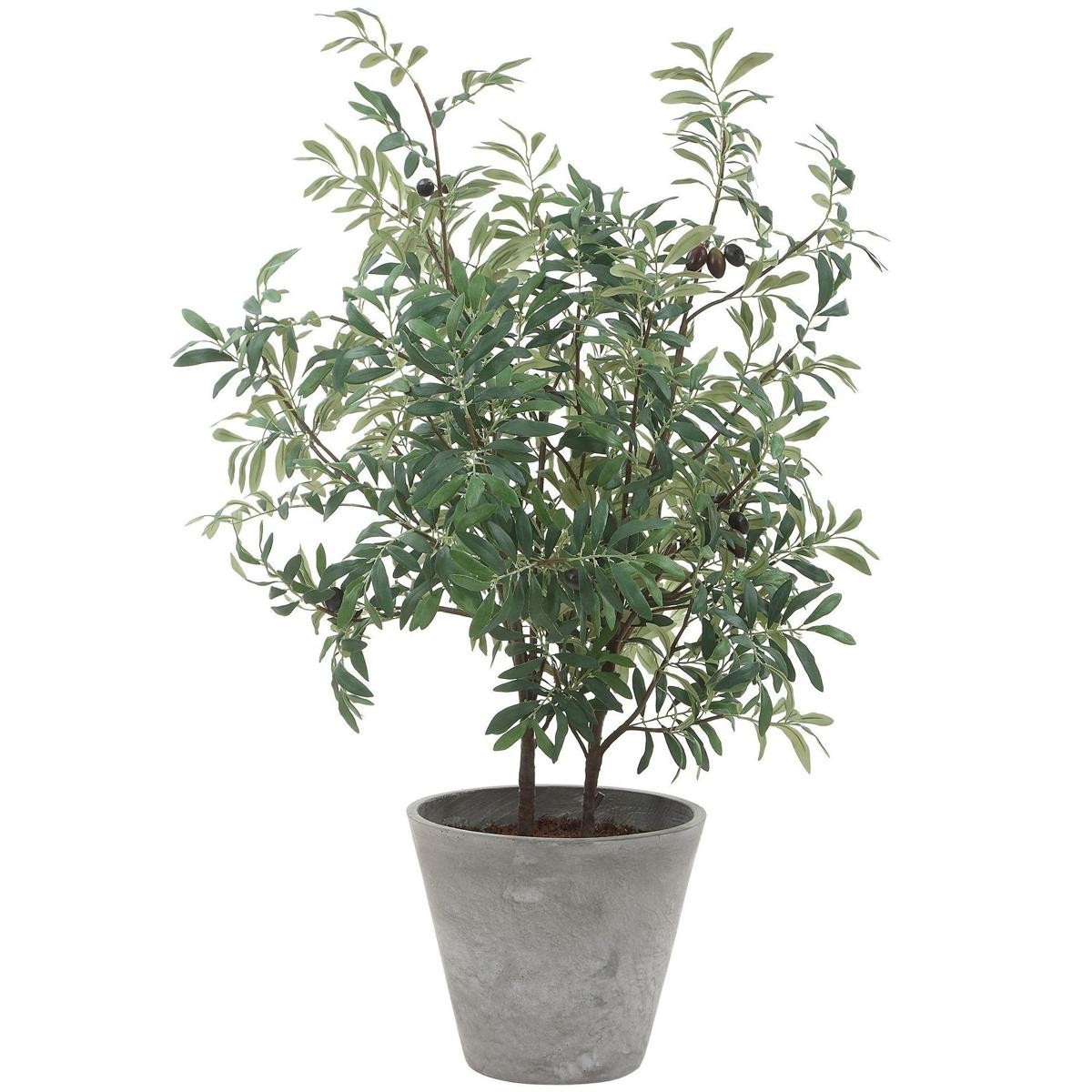 Uttermost 60268 Marisol Stone Gray and Green Potted Olive Plant