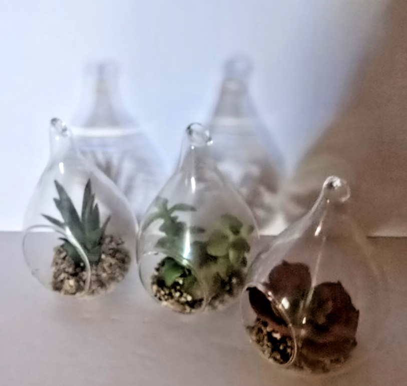 3 Blown Glass Teardrop Hanging Plant Terrarium 5” with landscape