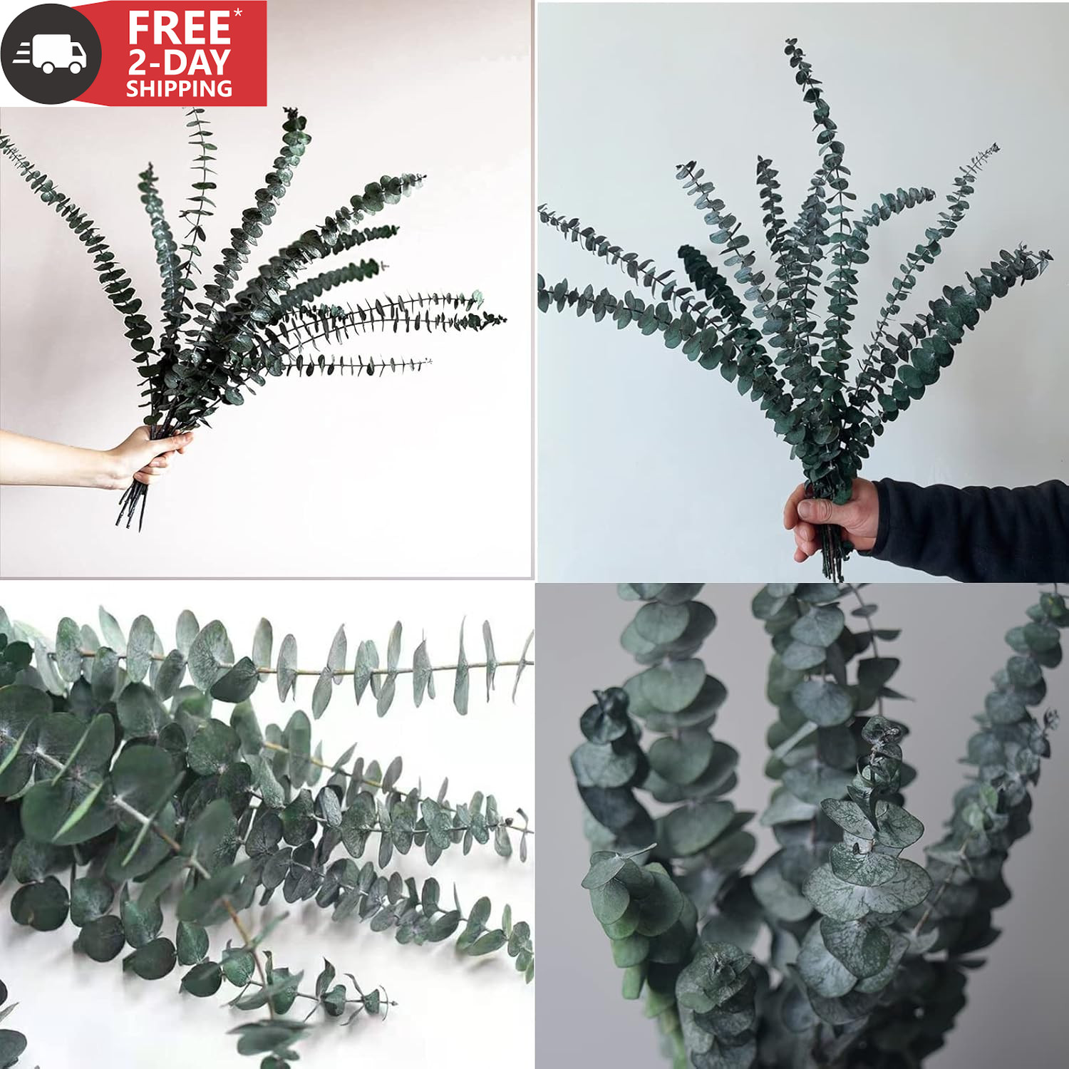 Eucalyptus for Shower 10 Pcs Hanging Dried Eucalyptu Stems 17″ Real Eucalyptus B