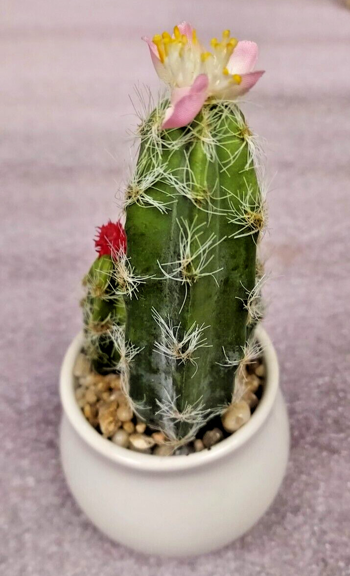 ARTIFICIAL CACTUS RED, PINK, YELLOW FLOWERS IN WHITE CERAMIC ROUND POT 7″