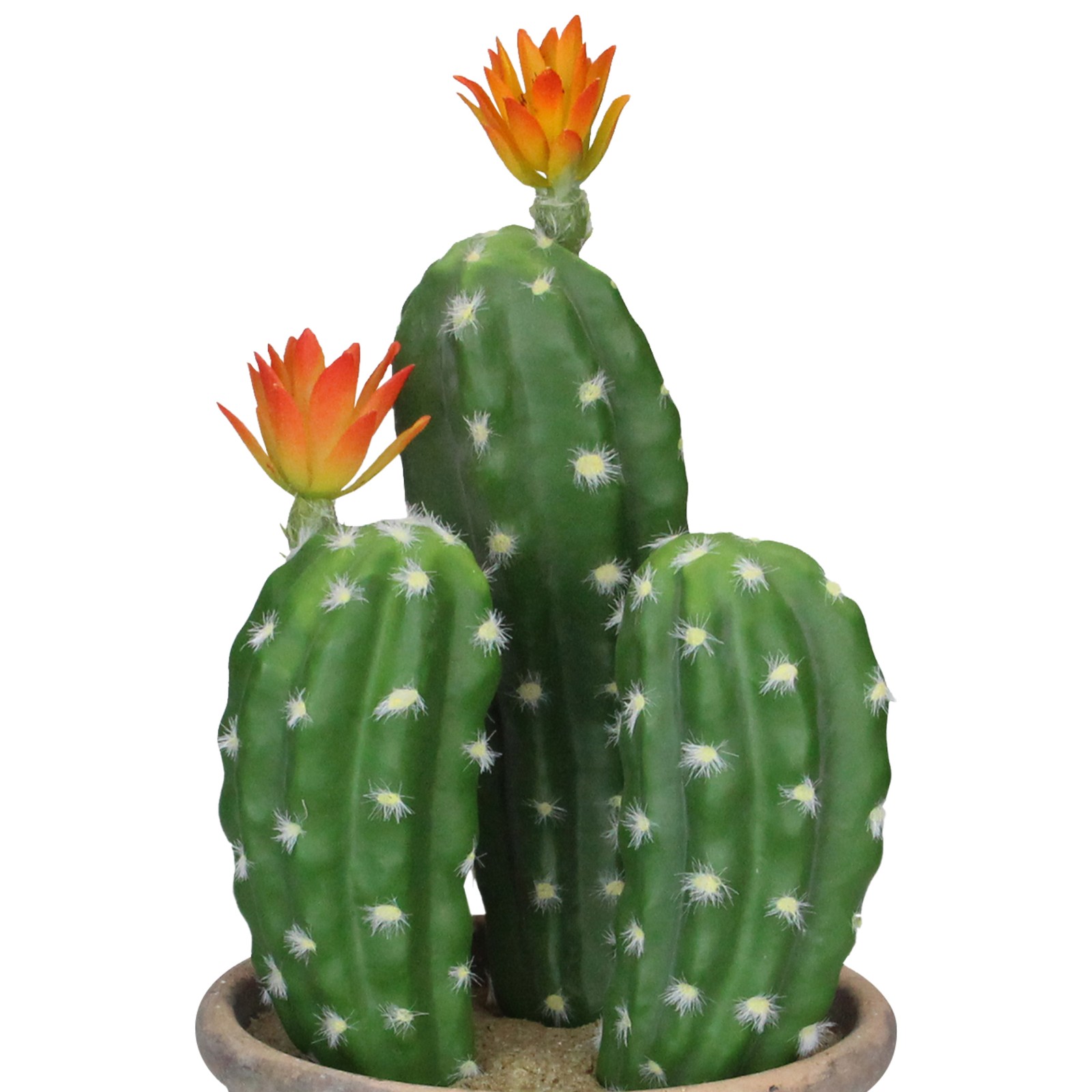 Allstate 12.5″ Green Flowering Column Cactus In A Ceramic Pot With Flowers