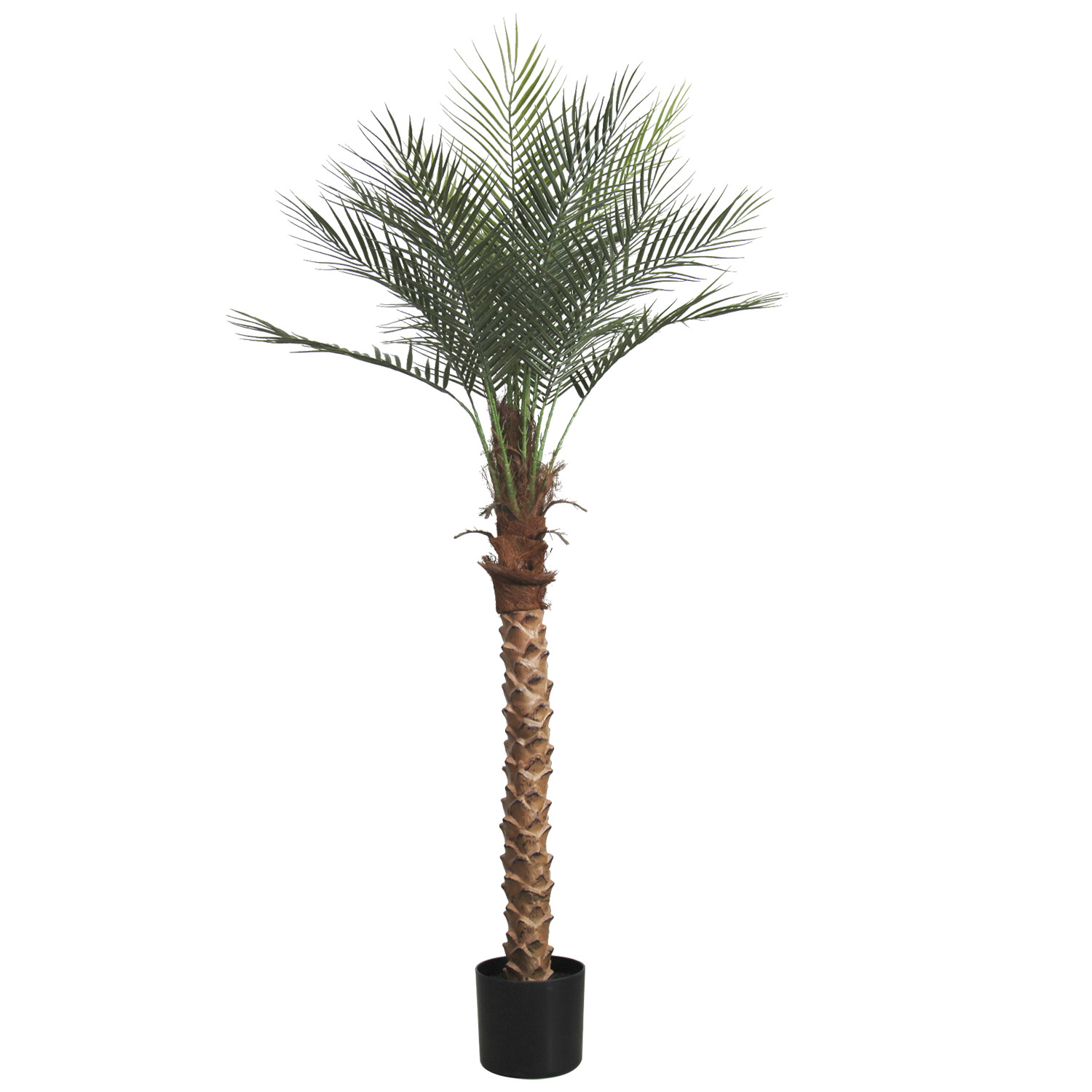 2 Pack 5FT Artificial Coconut Palm Tree, Fake Tropical Palm Plant Indoor Outdoor