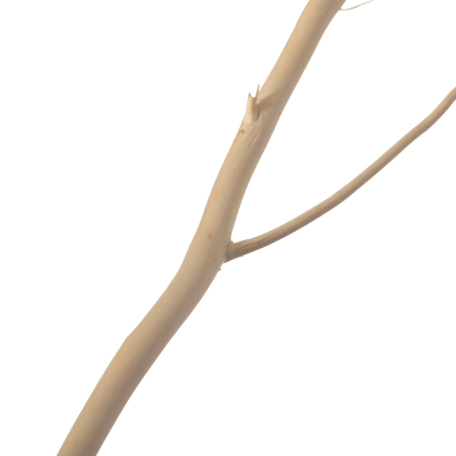 Decorative Dry Branches Authentic Willow Sticks for Home Decoration, 12 Pieces