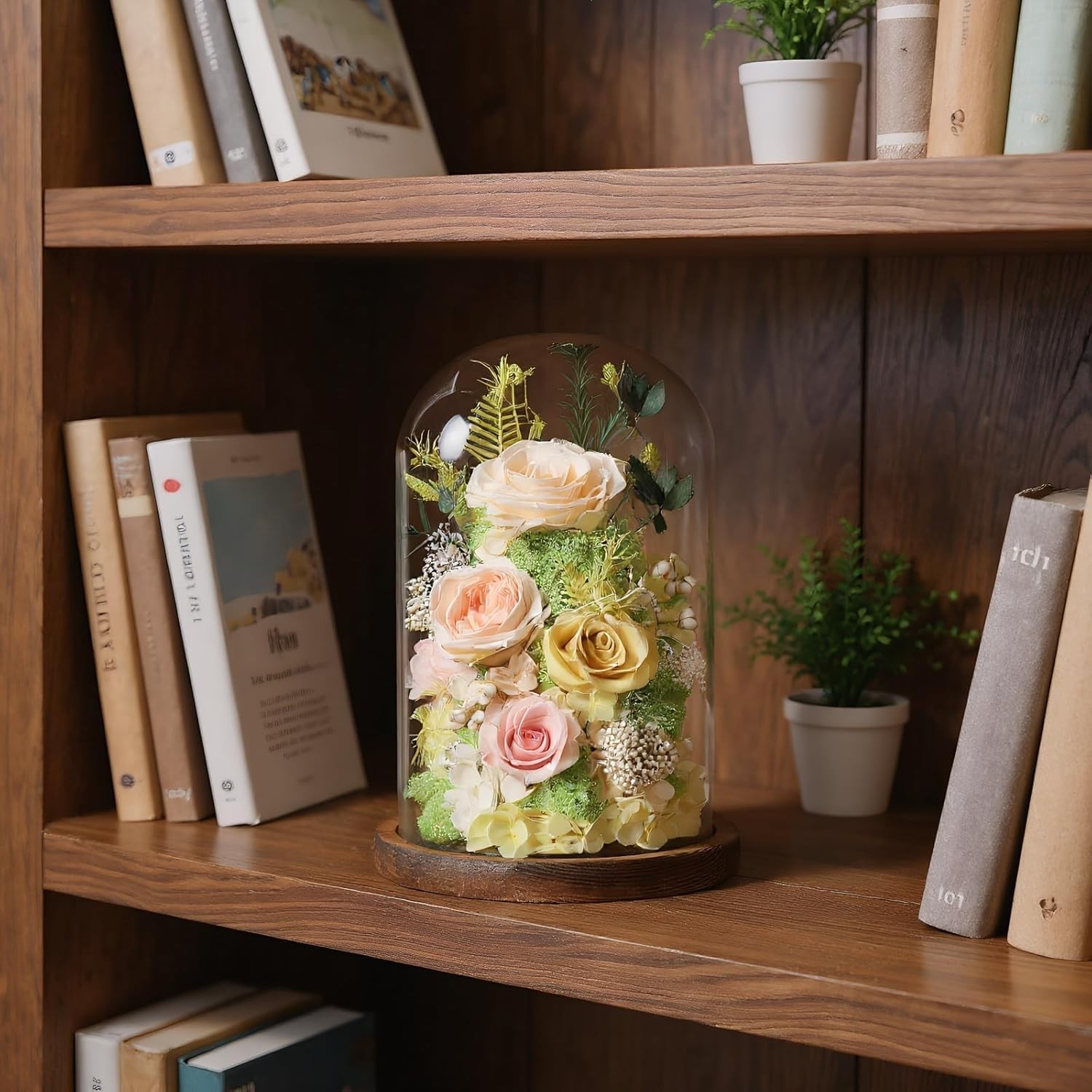 Flowers for Delivery Preserved Flowers Rose in Glass Dome,Champagne Rose Forever