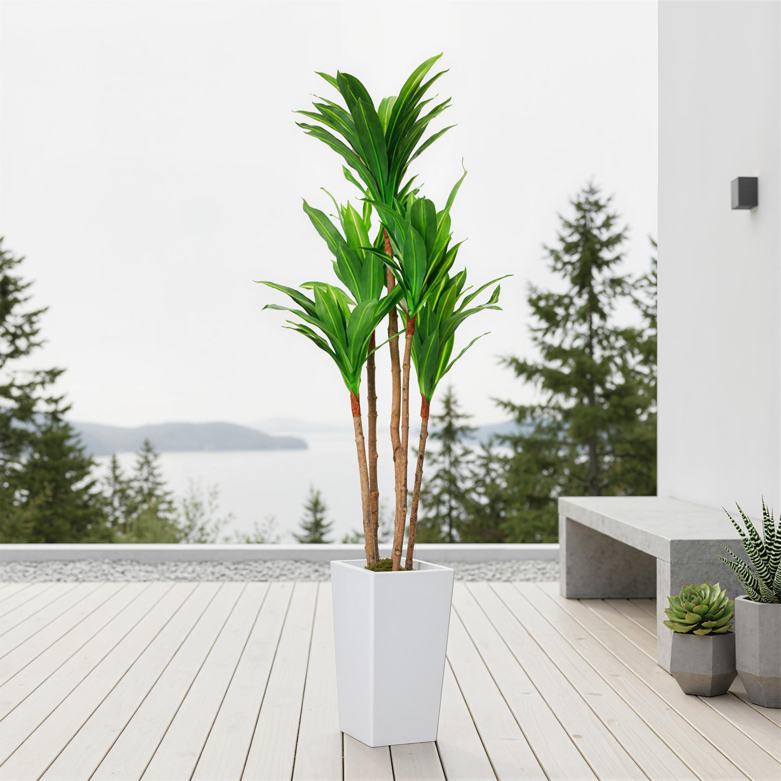4.8FT Artificial Dracaena Tree Tall Faux Plant in White Planter Office Decor