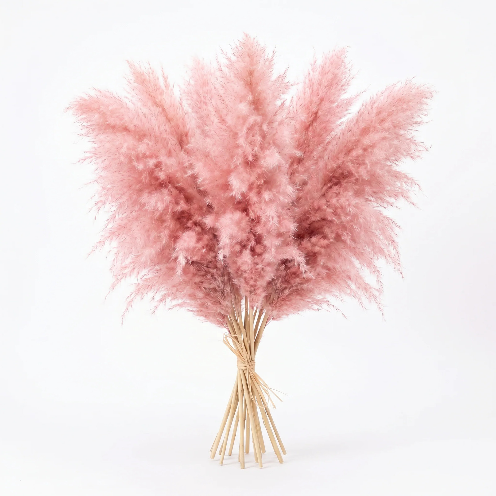 15 stems Pink Pampas Grass 20 -21 Decor Dried