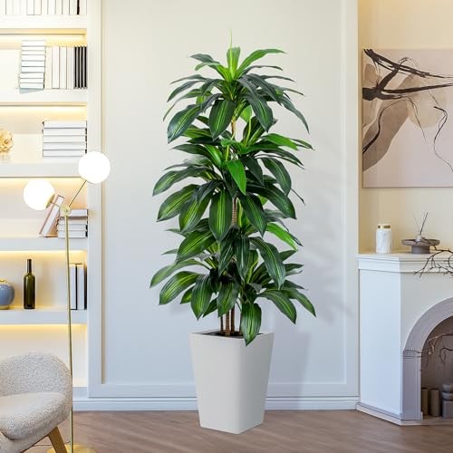 Artificial Dracaena Tree with White Tall Planter, 5ft Tall Dracaena Plant
