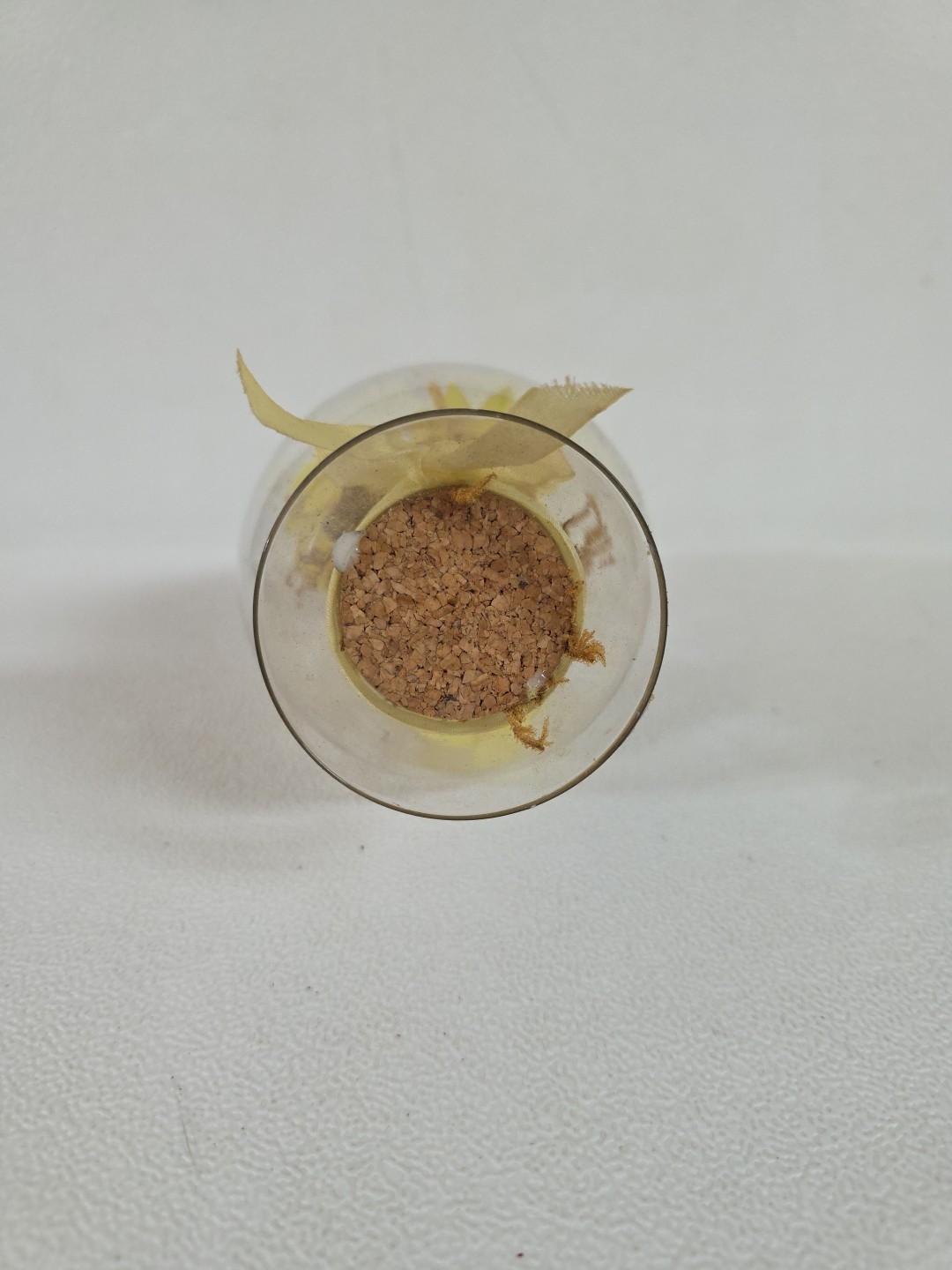 Vintage Clear Glass Dome Egg Cloche with Dried & Silk Flowers Yellow Bow