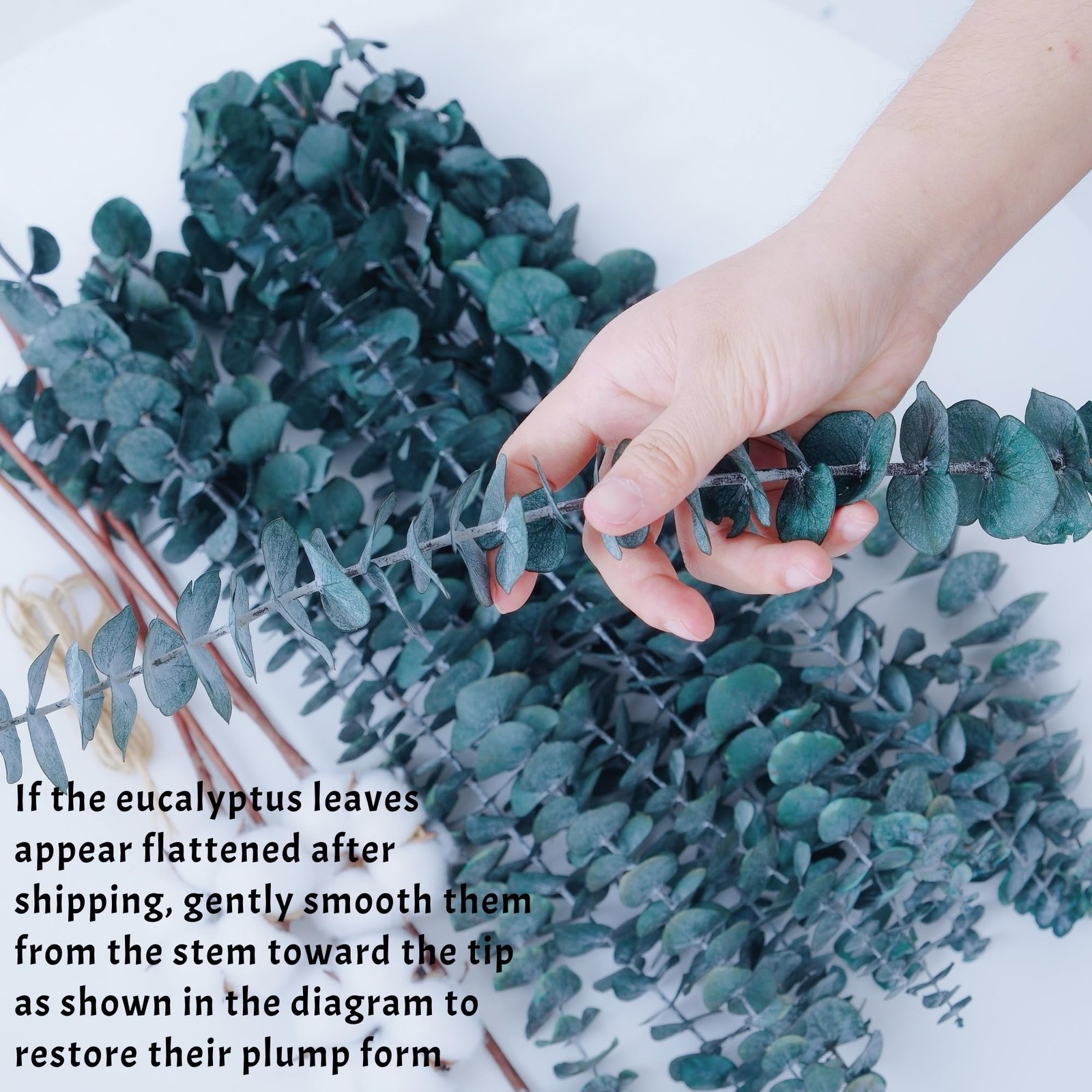 20 PCS Blue Preserved Eucalyptus Stems, 17″ Natural Dried Eucalyptus Branches…