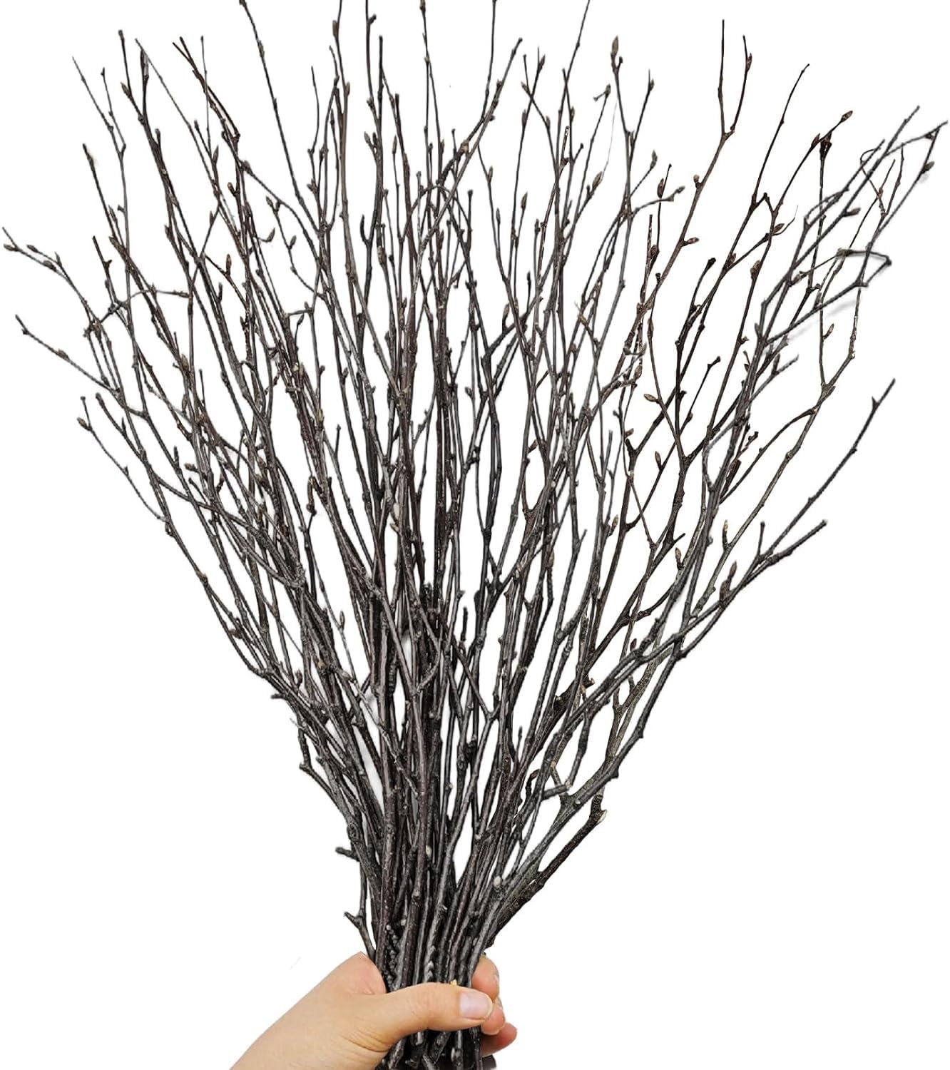 30Pcs Real Dried Birch Twigs 17 Decorative 100% Natural Birch Branches for