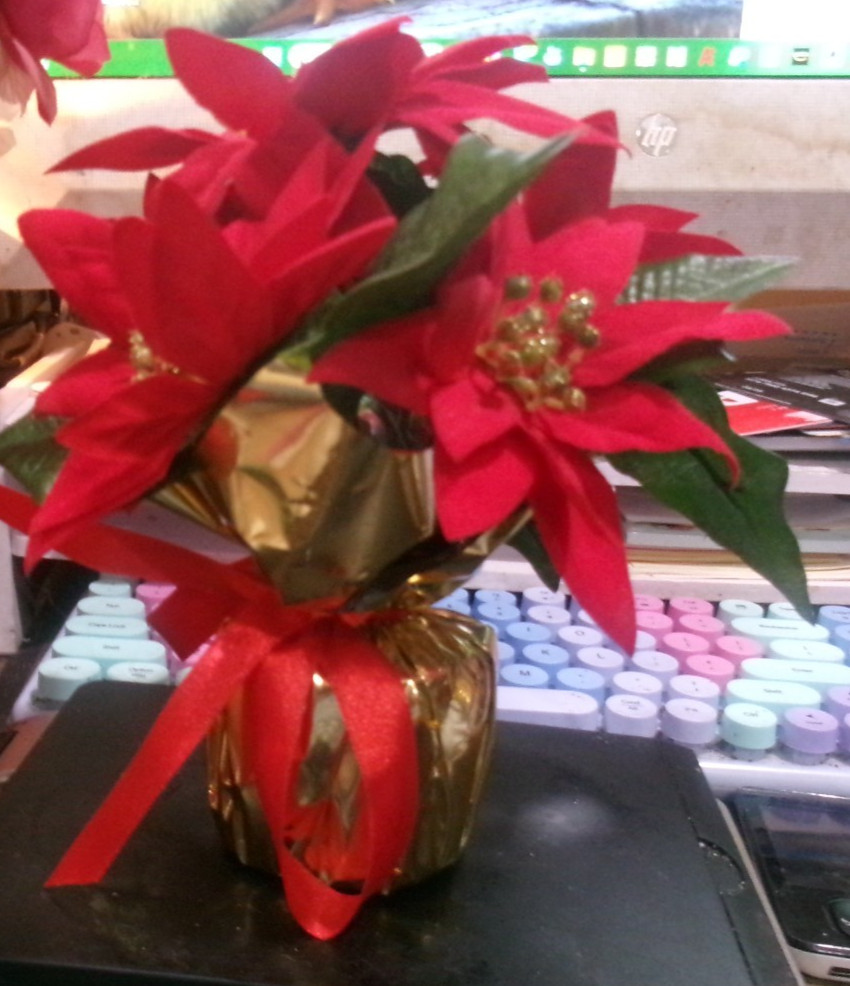 artificial pointsettia in gold wrapping paper and red ribbon