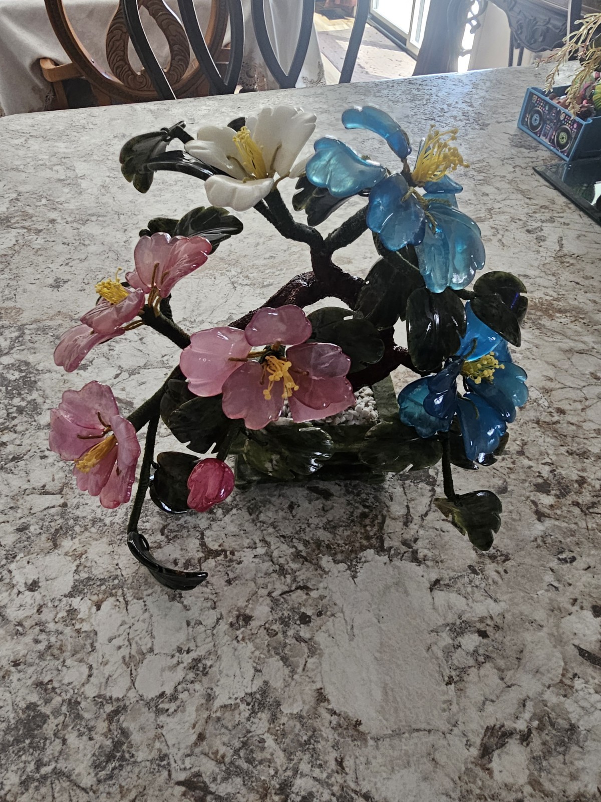 Chinese Colorful Jade Peony Plant