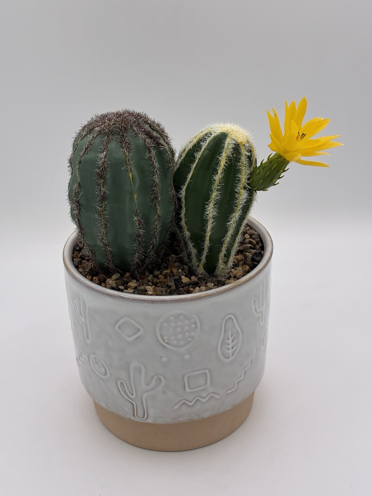 Garden Party Faux Cactus Arrangement Ceramic Etched Planter 9″ Walgreens #738996