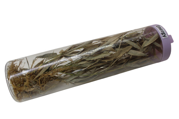 Dry Bamboo Roots Plant natural for Decoration