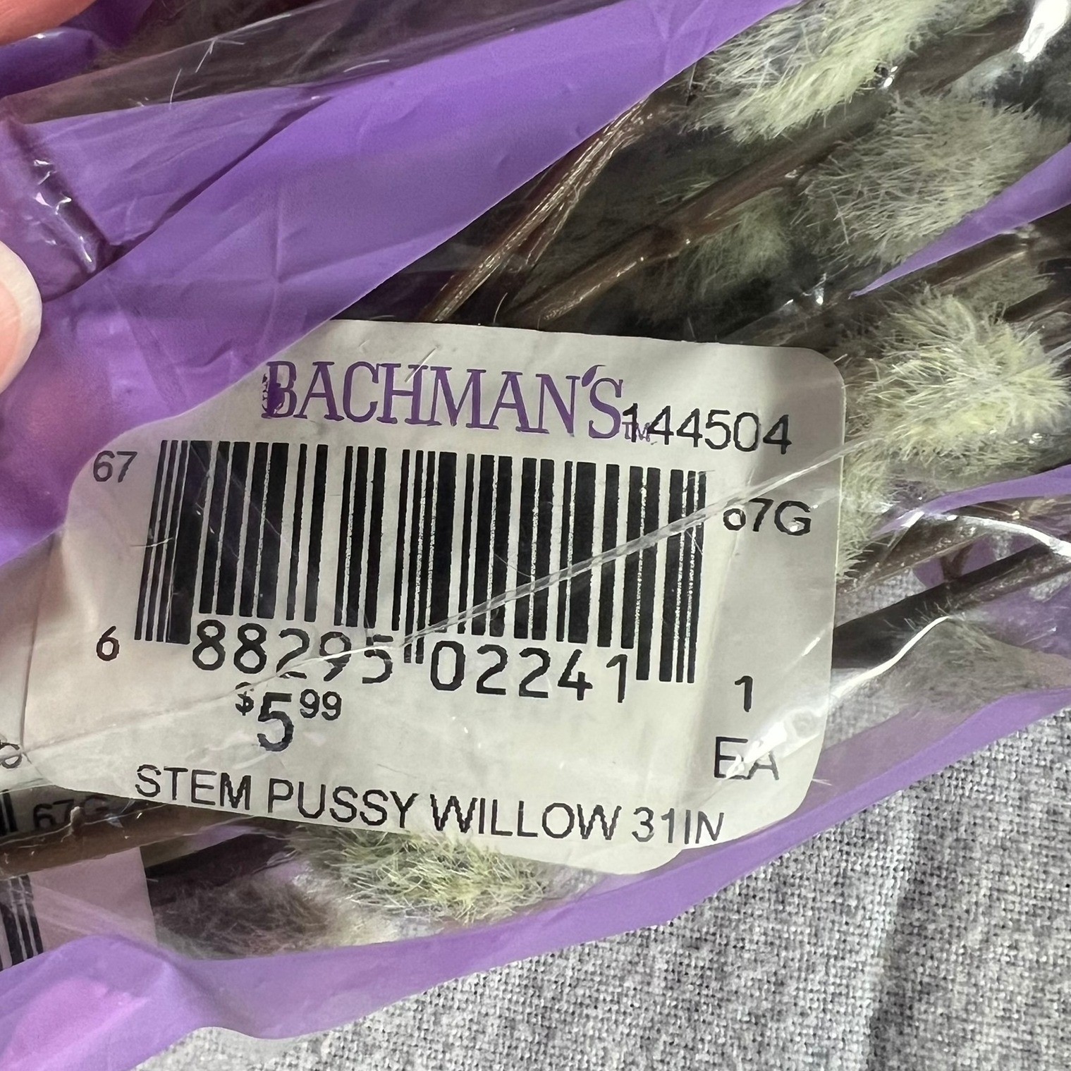 Bachman’s Pussy Willow Stems Unisex 31in Brown Brand New 4 Count Floral Decor