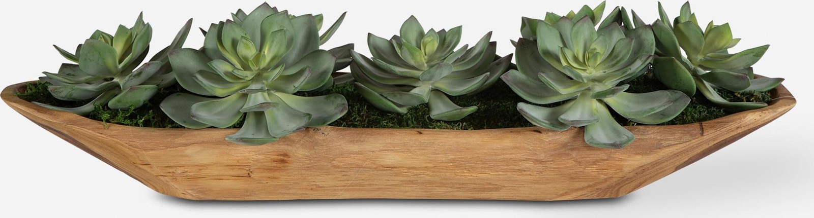 Uttermost 60205 Yuma 8″ Tall Wood Faux Flora Planter – Natural